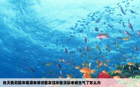昨天我和朋友喝酒老婆给我发信息我没回老婆生气了怎么办