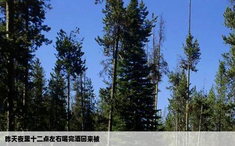 昨天夜里十二点左右喝完酒回来被