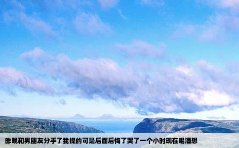 昨晚和男朋友分手了我提的可是后面后悔了哭了一个小时现在喝酒想