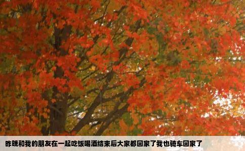 昨晚和我的朋友在一起吃饭喝酒结束后大家都回家了我也骑车回家了