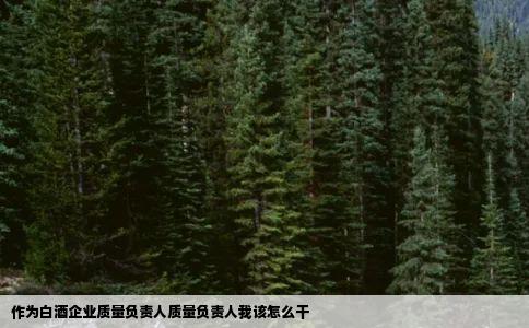 作为白酒企业质量负责人质量负责人我该怎么干