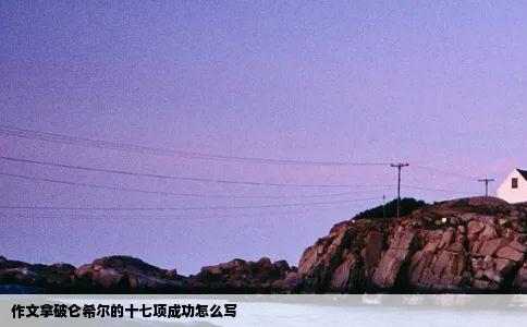 作文拿破仑希尔的十七项成功怎么写