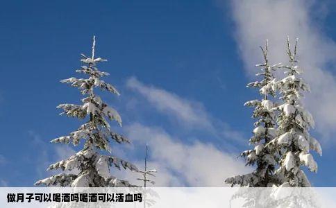 做月子可以喝酒吗喝酒可以活血吗